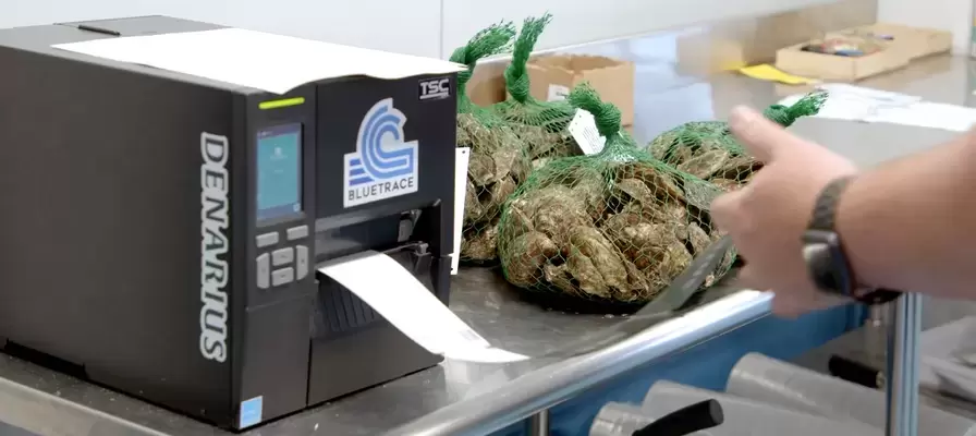 海产标签解决方案:BlueTrace 如何实现效率与法规遵循