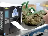 海产标签解决方案：BlueTrace 如何实现效率与法规遵循